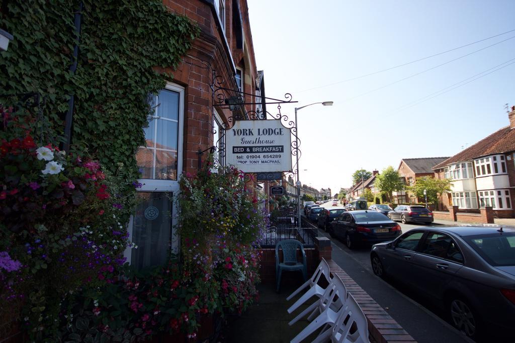 York Lodge Guesthouse Екстериор снимка